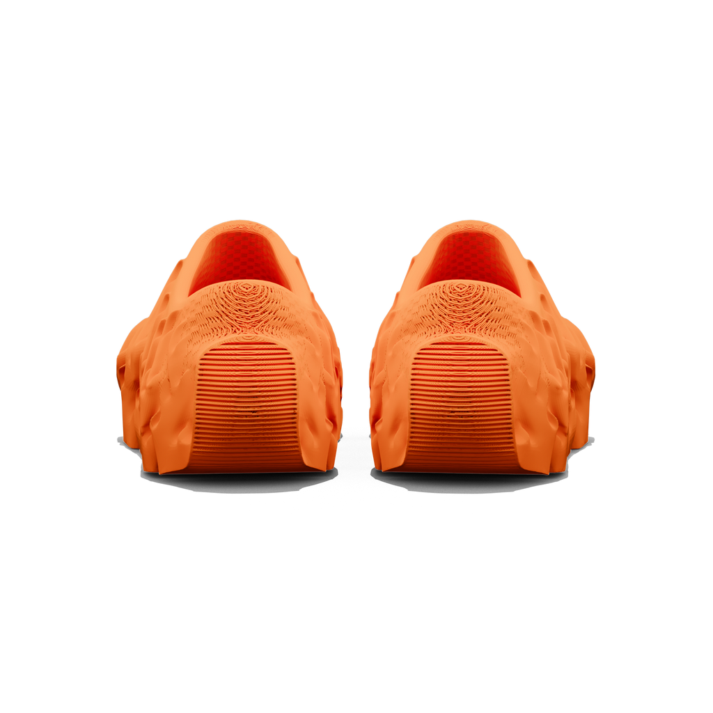 Orange Flameskii Back