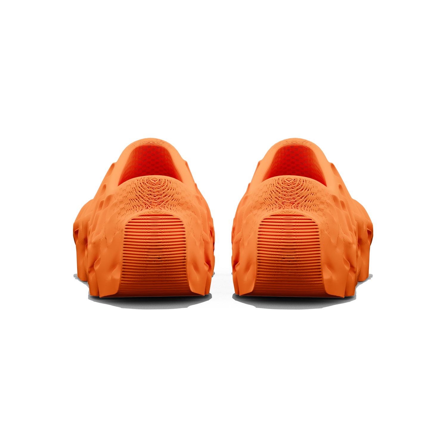 Orange Flameskii Back